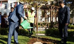 Bakan Işıkhan, Bilecik'te fidan dikti!