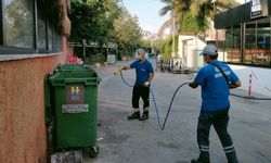 Alanya sokaklarında sinek timleri görev başında!