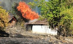 Antalya'daki yangında  20 dönüm kızılçam ormanı zarar gördü!