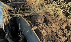 Tarlada patlamamış el bombası bulundu!