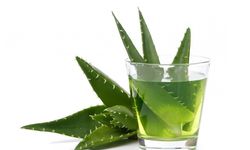 Aloe vera jelinin kullanım alanları nelerdir?