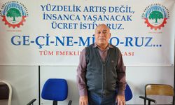 Ali Pala Şanlı: "İnsan onuruna yakışmayan rakamlar"