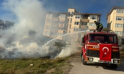 Bilecik'te arazi yangın anında söndürüldü!