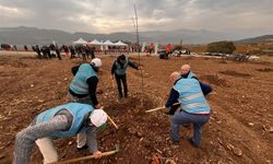 Bilecik'te mahkumlar proje kapsamında fidan dikildi!