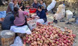 Adana'da nar ekşisi yapımı başladı