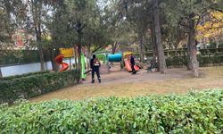 Eskişehir Büyükşehir Belediyesi'nden park temizliği