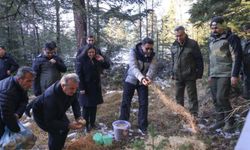 Bilecik'te doğa koruma projeleri hız kazandı