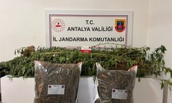 Alanya'da büyük narkotik operasyonu!