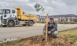 Antik zeytinyağı şehri Kepez’de tarihi miras yaşatılıyor