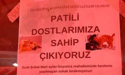 Eskişehir'de patili dostlar için dayanışma çağrısı