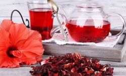 Hibiskus bitkisi neye yarar? Hibiskus çayının faydaları nelerdir?