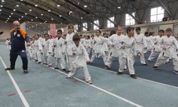 Bursa'da karate eğitim semineri