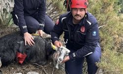 Antalya'da 3 gündür mahsur kaldı, ekipler seferber oldu!