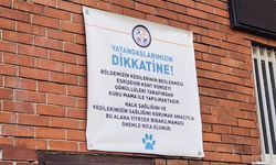 Eskişehir Kent Konseyi'nde sokak kedileri için önemli uyarı