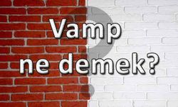 Vamp ne demek?