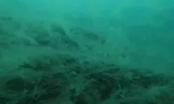 Acil önlem çağrısı: Saros Körfezi'nde alarm!