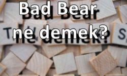 Bad Bear ne demek?