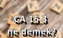 CA 15-3 Ne Demek?