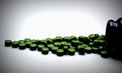 Chlorella Nedir? Hangi Besinlerle Destekleyebilirsiniz?