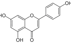 Apigenin Nedir?  Apigenin Zengini Bitkilerle Doğal Şifa