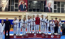 Osmaneli'nin başarılı sporcularından 11 madalya!