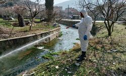 Bilecik'te sivrisineklerle mücadele sürüyor