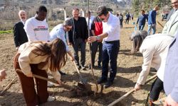 Bilecik'te doğa için fidan dikti