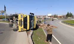 Ahşap yüklü kamyon devrildi: Sürücü yaralandı!