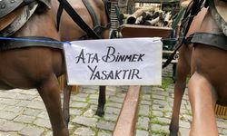 Eskişehir'de turistleri şaşırtan ilginç yasak tepki çekti