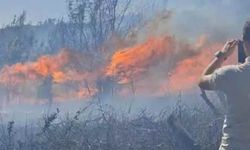 Tarım arazisinde başlayan yangın ormanlık alana sıçradı!