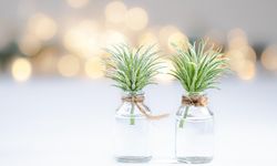 Minimal yaşam tarzı nedir, nasıl uygulanır?