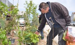 Bilecikli aile 35 yıldır miras kalan mesleği büyütüyor