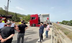 Arı saldırısı trafiği durdurdu!