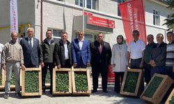 Çiftçiye yerli ve milli fide desteği