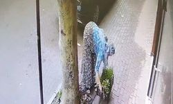 Bursa'da çiçekçiye hırsızlık şoku!