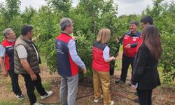 Zirai don sonrası eylem planı yapıldı