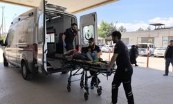 Üzüm yaprağı toplamak istedi, canından olacaktı!