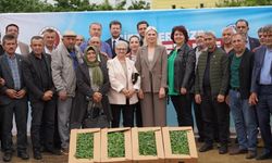 Bilecik'te çiftçiye 1 milyon 700 bin fide desteği!