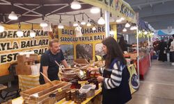 Bilecik'te festivale yasaklama kararı!
