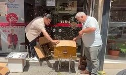İş merkezini arılar bastı!