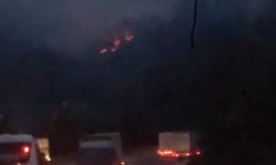 Adana'da orman yangını!