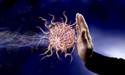 İmmünoloji Nedir? İmmün Sistem Nasıl Çalışır?