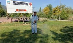 Bilecik'te mesire alanlarında ilaçlama çalışmaları başladı