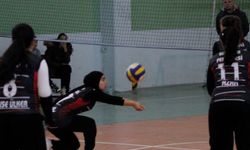 Filenin en iyisi Beylikova ÇPAL oldu!