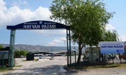 Eskişehir Hayvan Pazarı, bayrama hazır!