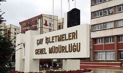 Çay İşletmeleri Genel Müdürlüğü 1500 işçi alacak! Başvuru için son günler