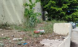 Tepki çeken görüntü: Burası Eskişehir'de bir okulun bahçesi