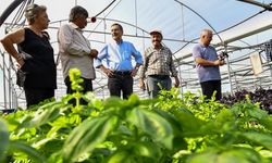 Tepebaşı Belediyesinden çiftçilere destek vurgusu