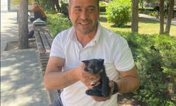 Eskişehir'de o sesin peşine düştüler, bakın ne çıktı