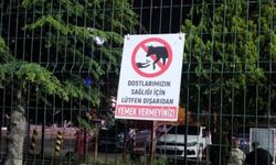Eskişehir’de hayvan sağlığı için besleme uyarısı